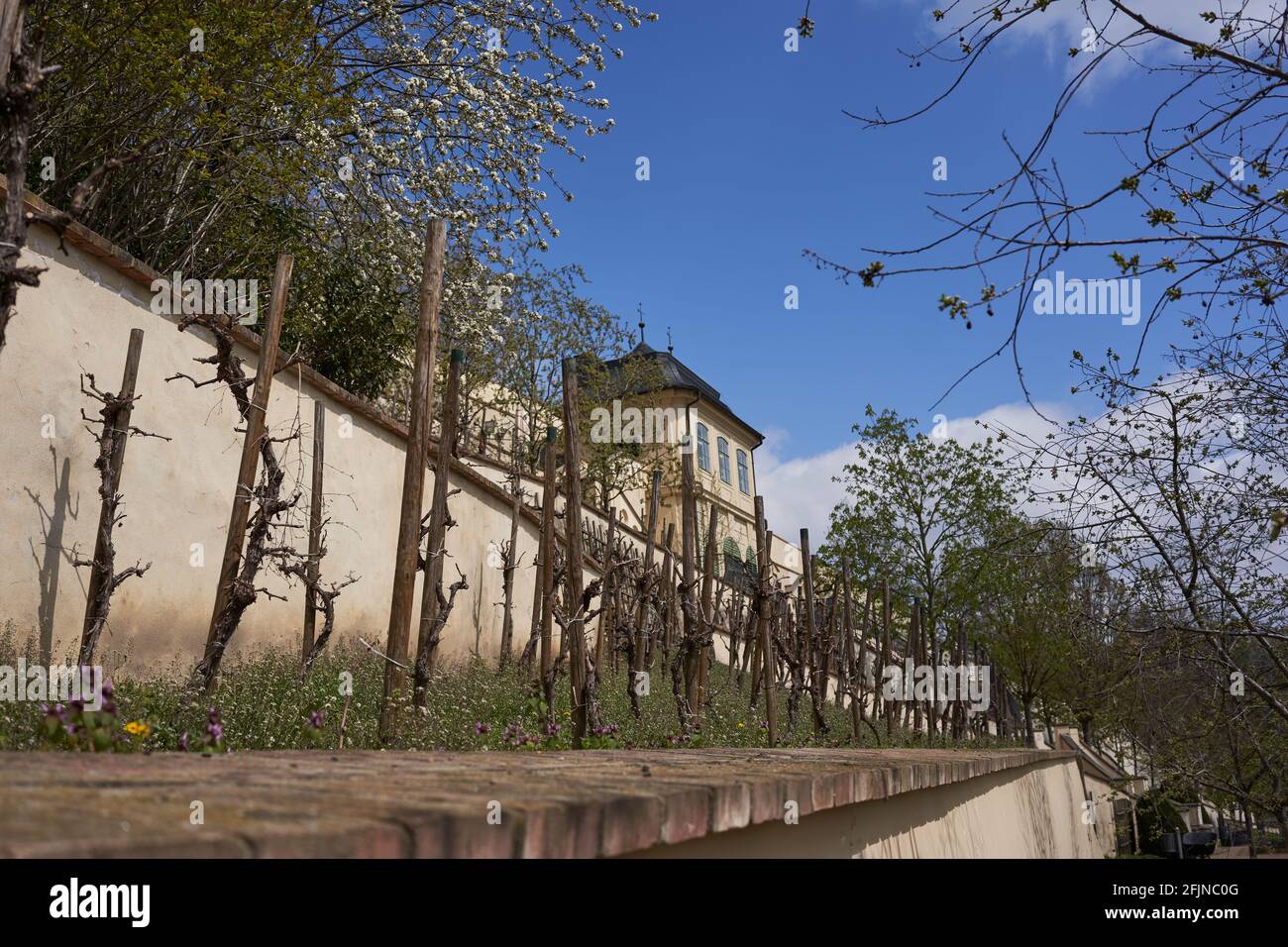 Praga, Repubblica Ceca - 23 aprile 2021 - il Grande Giardino di Fürstenberg in un pomeriggio di sole primavera vicino al Castello di Praga. Foto Stock