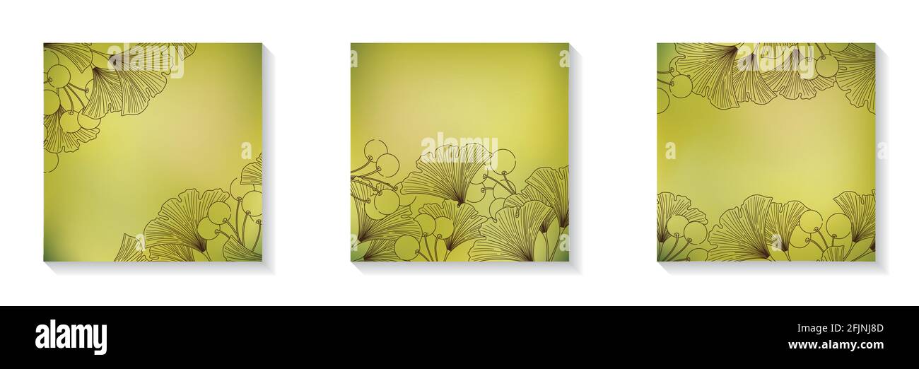 Set di cornici verdi quadrate sfocate con spazio di copia per i social media postano foglie di ginkgo e frutti di bosco line art Illustrazione Vettoriale