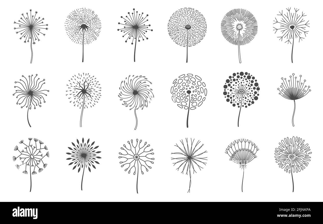 Fiori di dente di leone. Fiore di prato soffice con semi. Silhouette in fluff floreale naturale estivo. Set vettoriale elementi decorativi con logo a fiore Illustrazione Vettoriale