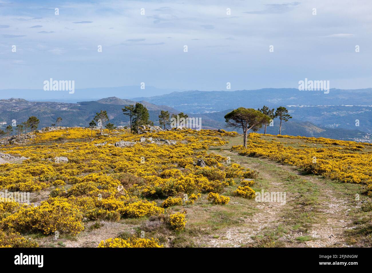 La montagna Freita in primavera (Serra da Freita), parte di Arouca Geopark, Portogallo. Foto Stock