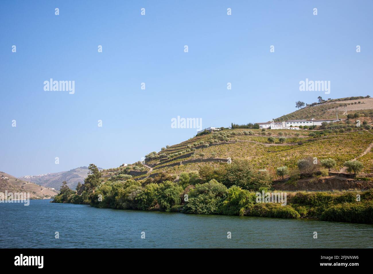 Crociera sul fiume Douro che scorre attraverso la splendida campagna portoghese della Valle del Douro nel Portogallo settentrionale. Foto Stock