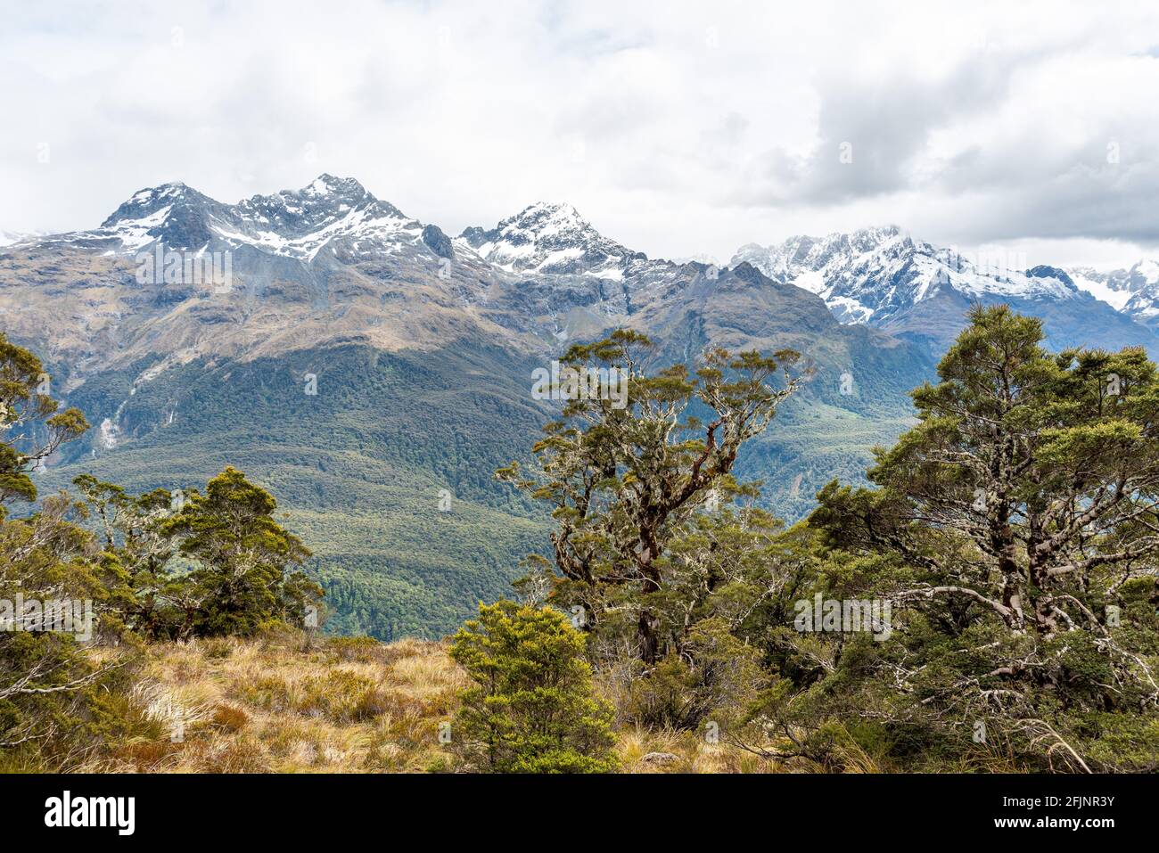 Maestoso paesaggio montano dalla famosa pista di Routeburn, Fiordland National Park, Isola del Sud della Nuova Zelanda Foto Stock