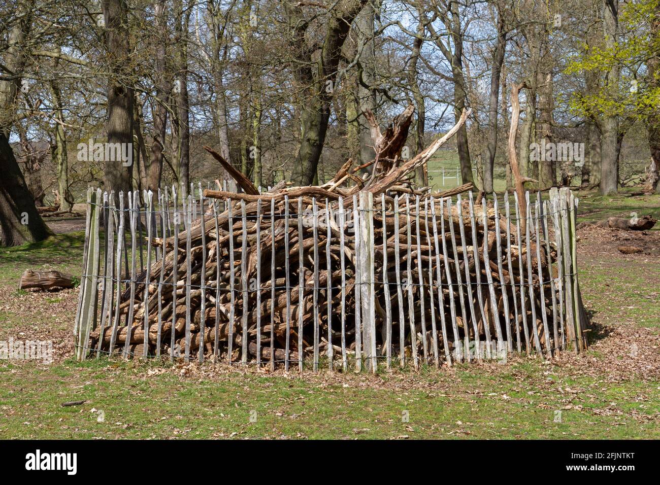 Un mucchio di tronchi, costruito per creare un habitat per la fauna selvatica come insetti, piccoli mammiferi e rettili, Richmond Park, Londra, Regno Unito. Foto Stock