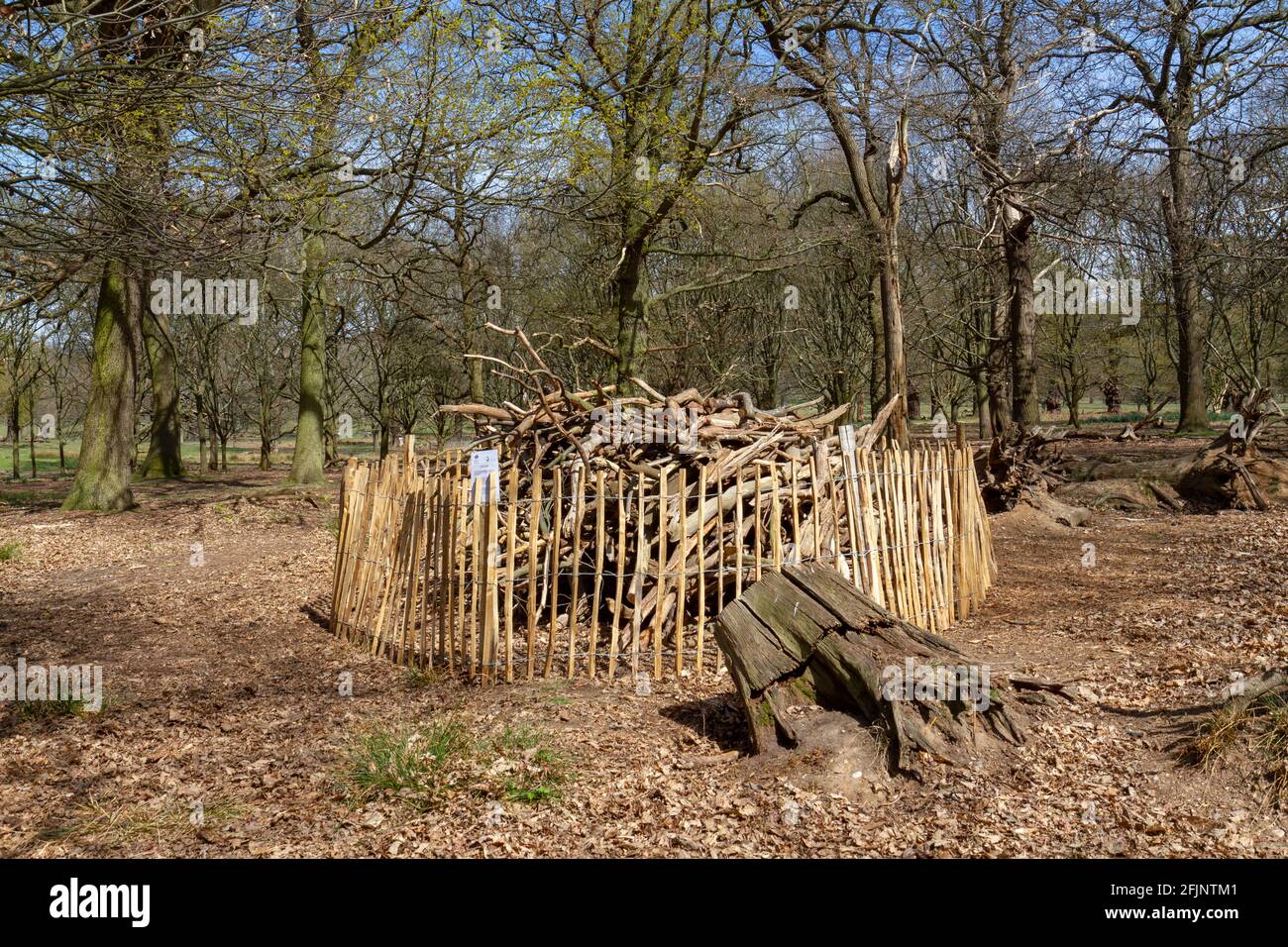 Un mucchio di tronchi, costruito per creare un habitat per la fauna selvatica come insetti, piccoli mammiferi e rettili, Richmond Park, Londra, Regno Unito. Foto Stock