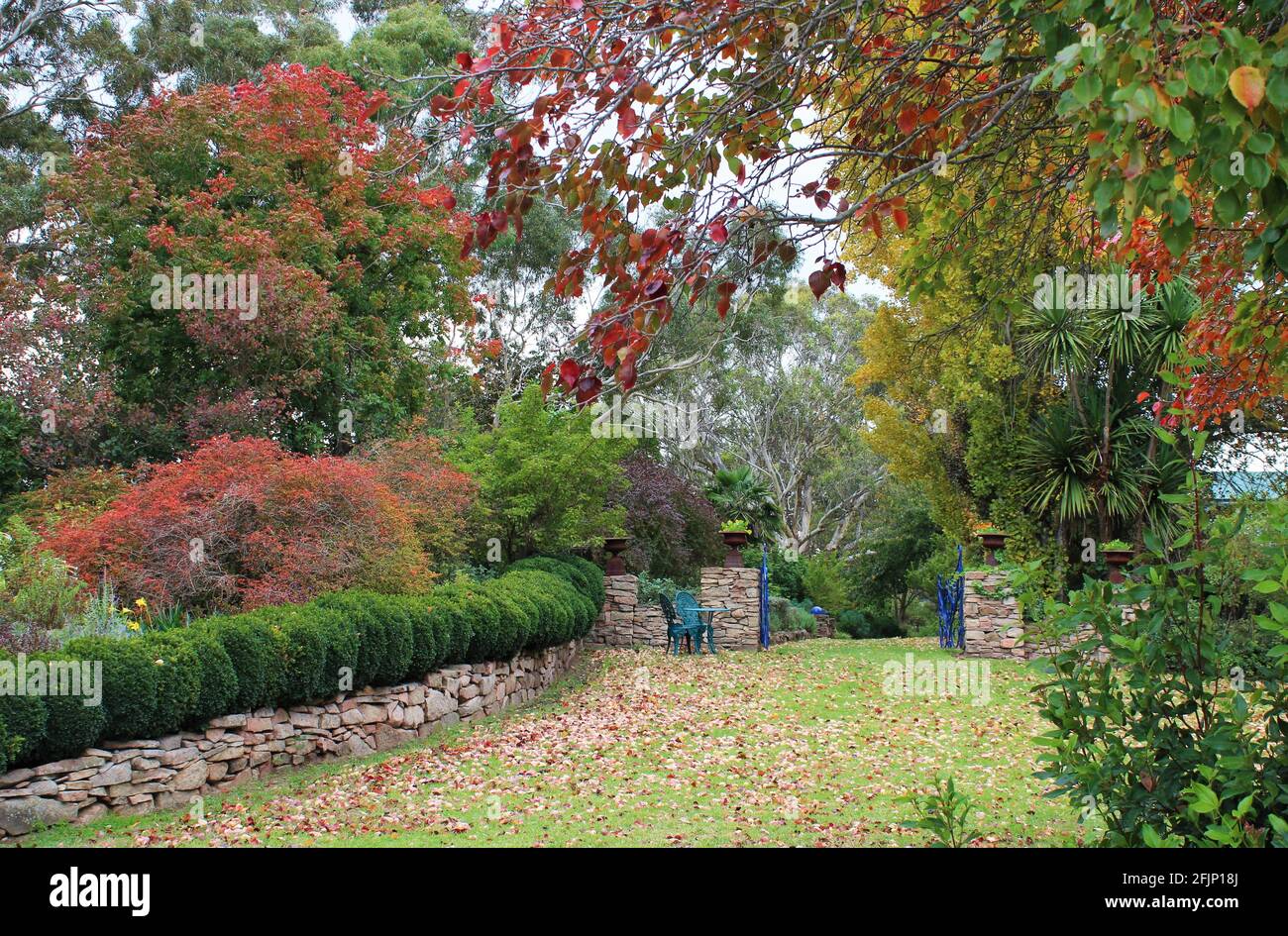 Immagine autunnale di un giardino residenziale australiano, a Tenterfield, nuovo Galles del Sud. Foto Stock