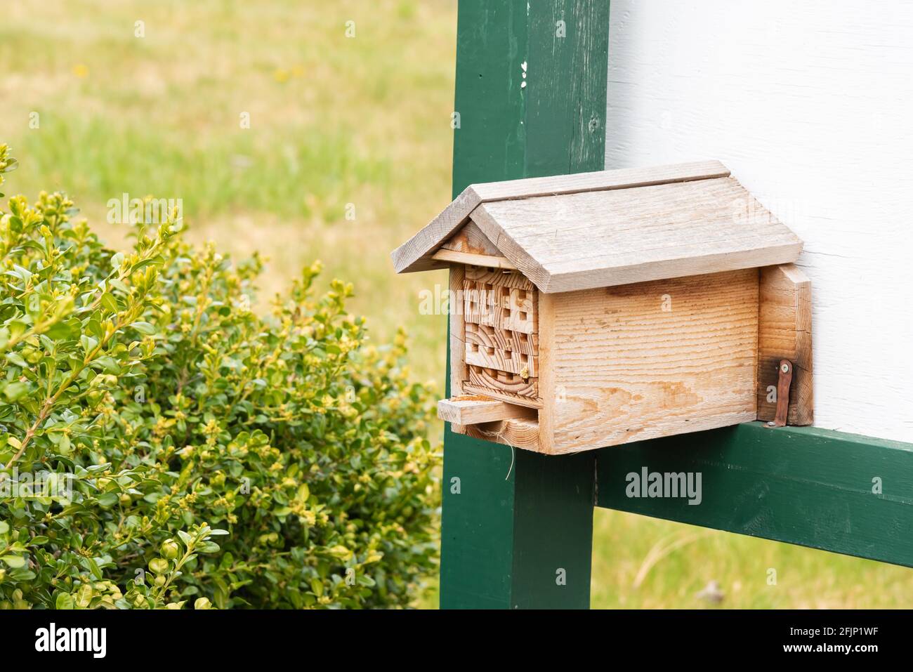Scatola del nido d'ape in un giardino, che fornisce l'habitat per le api selvatiche Foto Stock