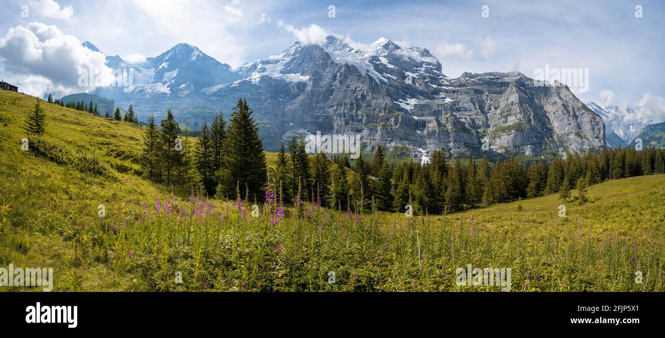 Due (escursionisti) su un sentiero, di fronte alla parete nord dell'Eiger, dietro le montagne e le cime delle montagne, la faccia ripida e le montagne, Jungfrau regione Foto Stock