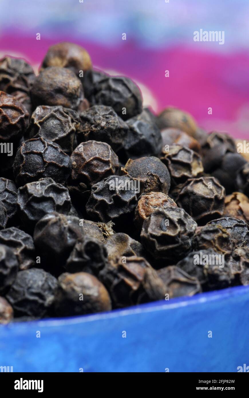 Pepe di Malabar, pepe di pepe di mais, pepe di pepe nero (nigrum di Piper) pepe giavanese Foto Stock