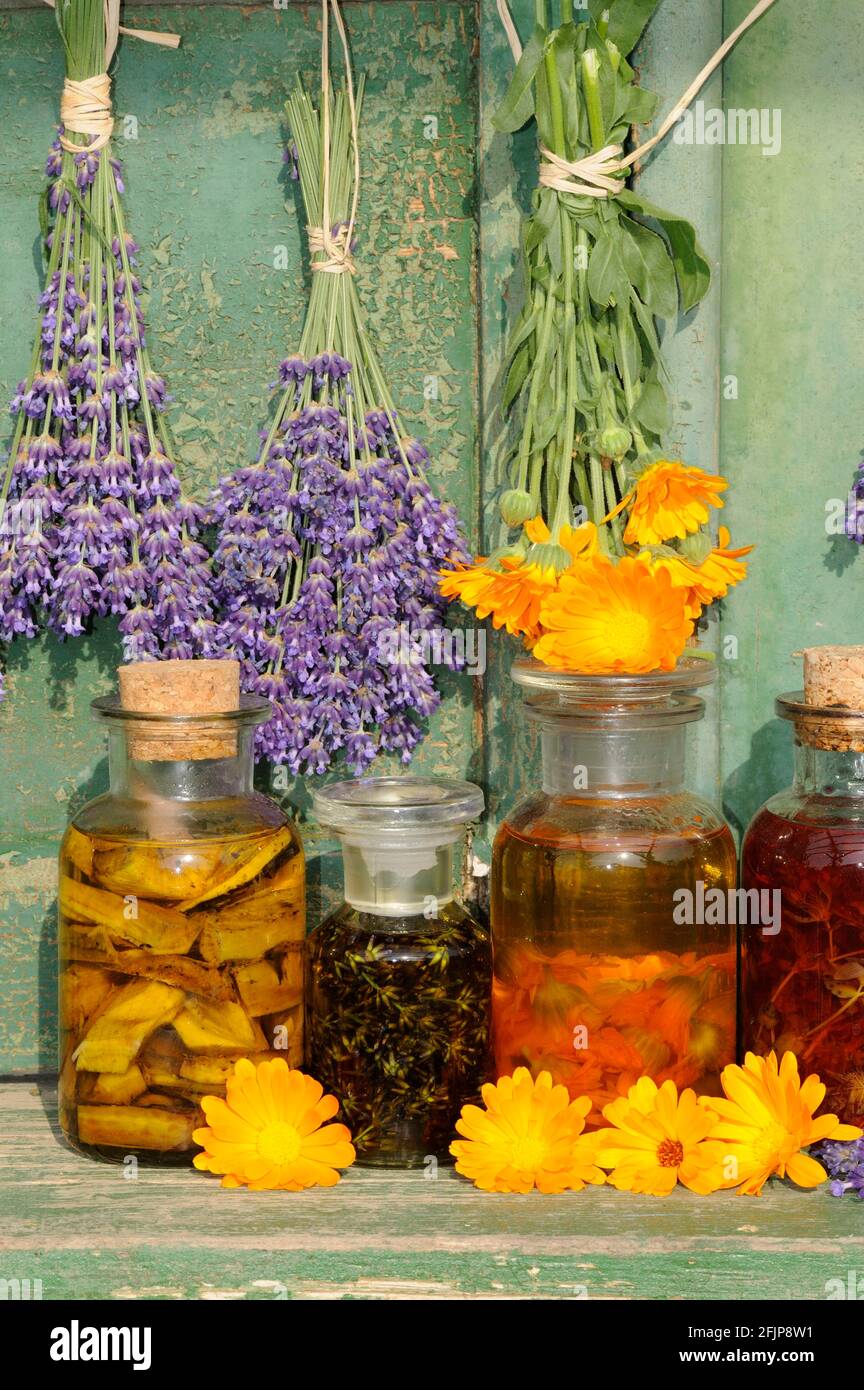 Oli di erbe con calendula, comfrey, lavanda, erba di San Giovanni, olio di erbe Foto Stock