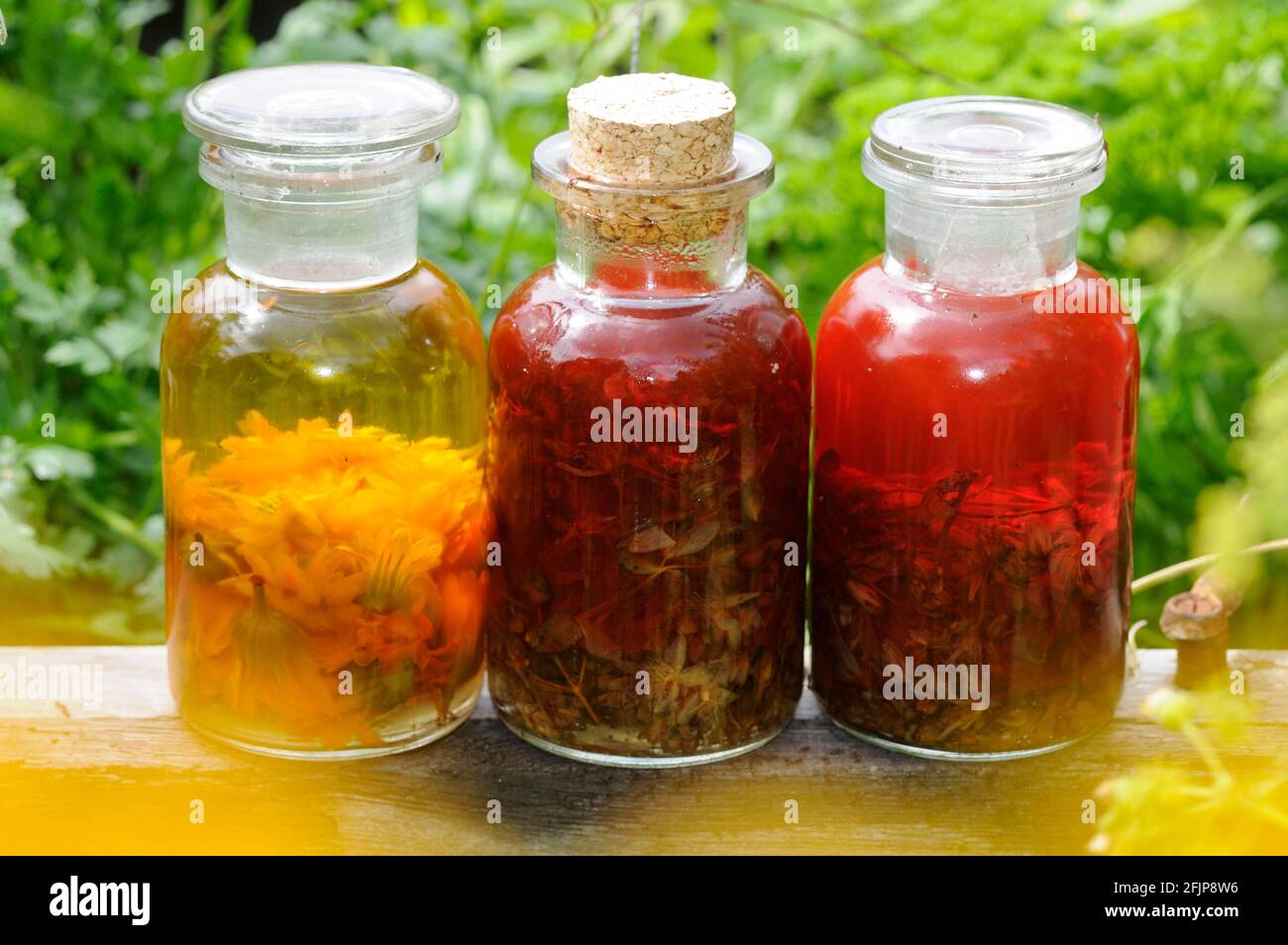 Oli di erbe con calendula, lavanda, erba di San Giovanni, olio di erbe, olio di calendula, Olio di lavanda, olio di erba di San Giovanni Foto Stock