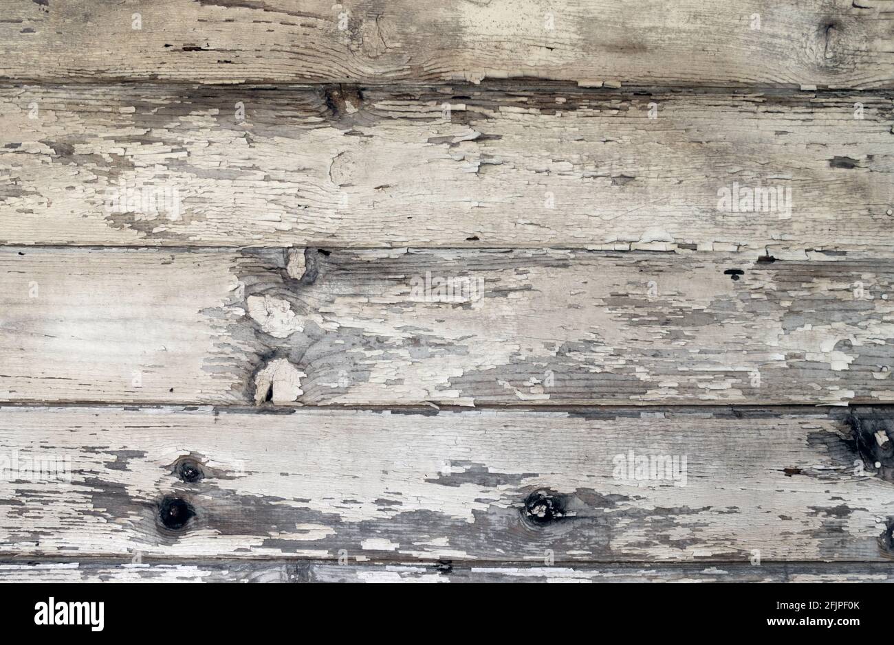 vernice bianca palissandro intarsibile chioccia di legno sfondo con copia spazio Foto Stock