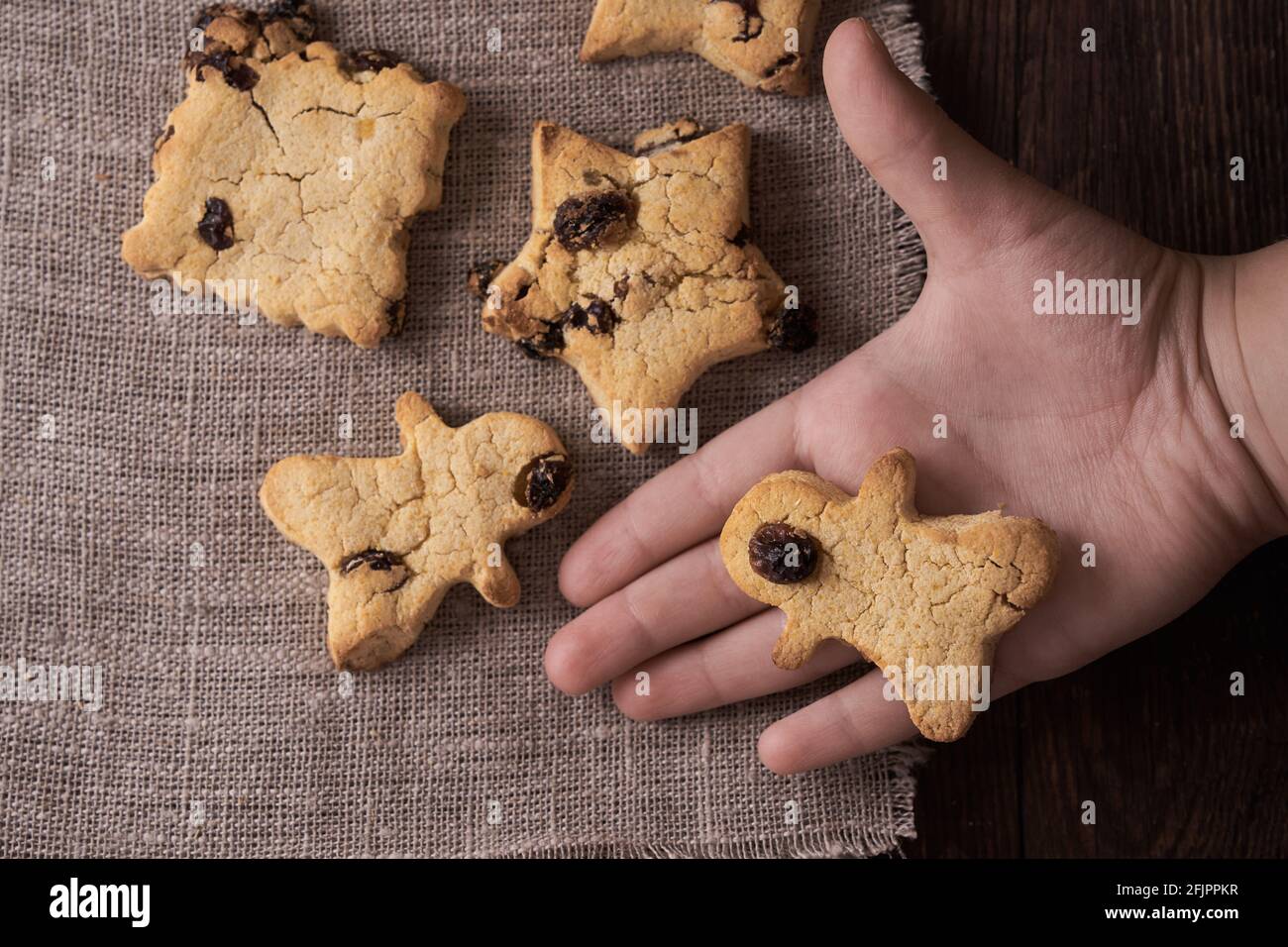 Biscotti fatti in casa senza glutine e senza lattosio senza zucchero con uvetta e cioccolato su sfondo di legno marrone scuro e il bambino tiene il pan di zenzero Foto Stock