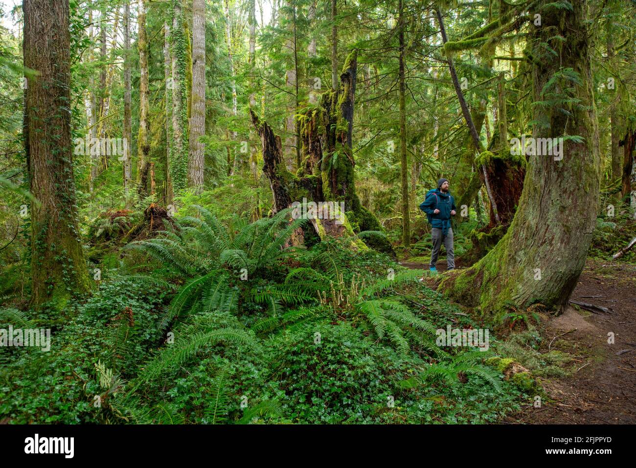 Escursioni sull'isola di Vancouver nella foresta lussureggiante di British Columbia vicino a Ladysmith con molti sentieri Foto Stock