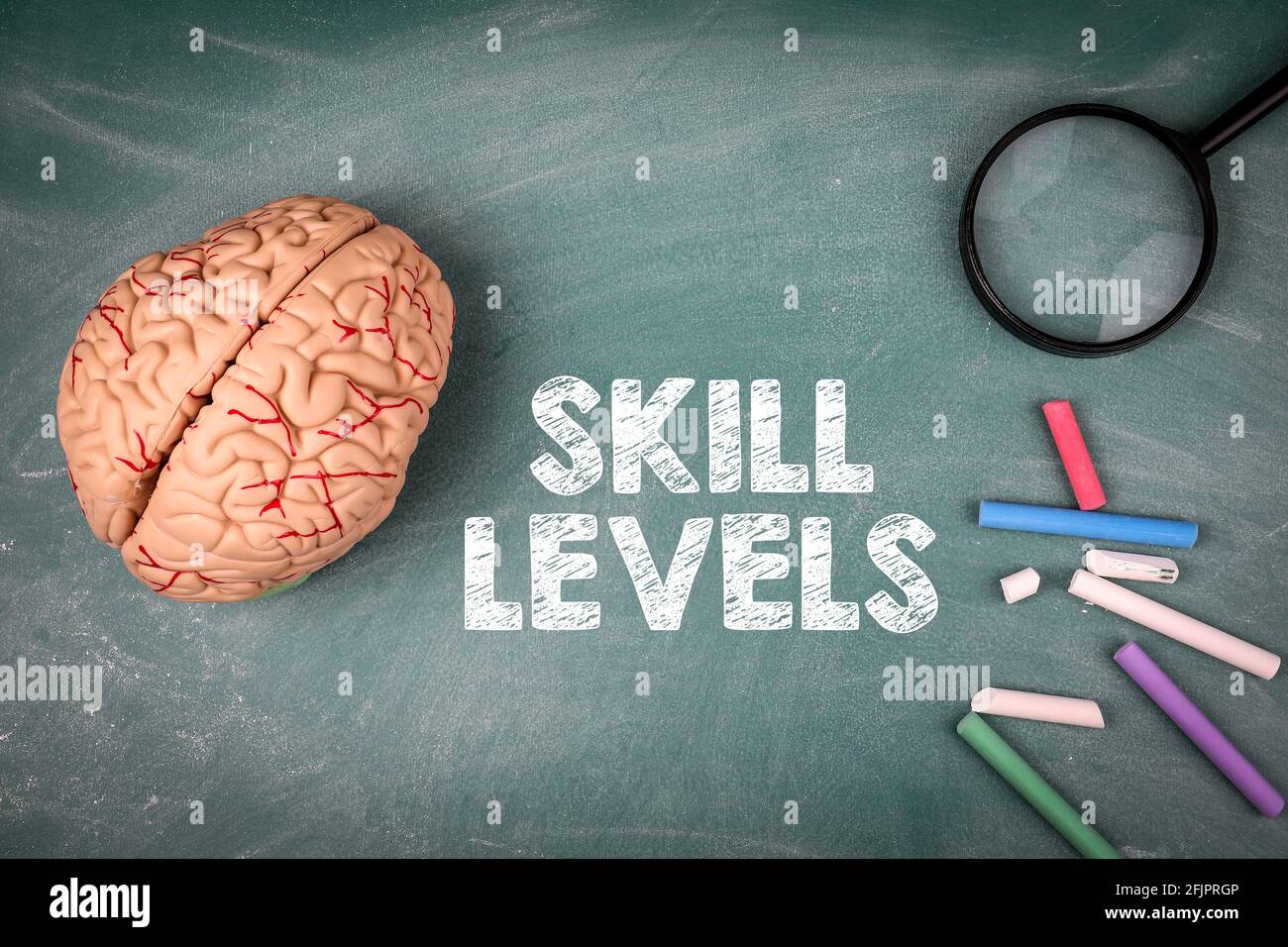 Concetto dei livelli di abilità. Modello cerebrale, lente di ingrandimento e calici colorati su una tavola di gesso verde. Foto Stock
