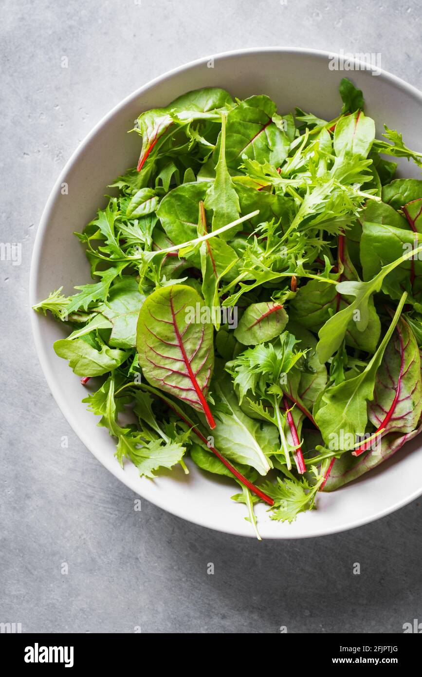 Insalata verde sana, foglie biologiche fresche mescolano insalata con rucola, bietola svizzera e lattuga, fondo grigio chiaro, primo piano. Foto Stock