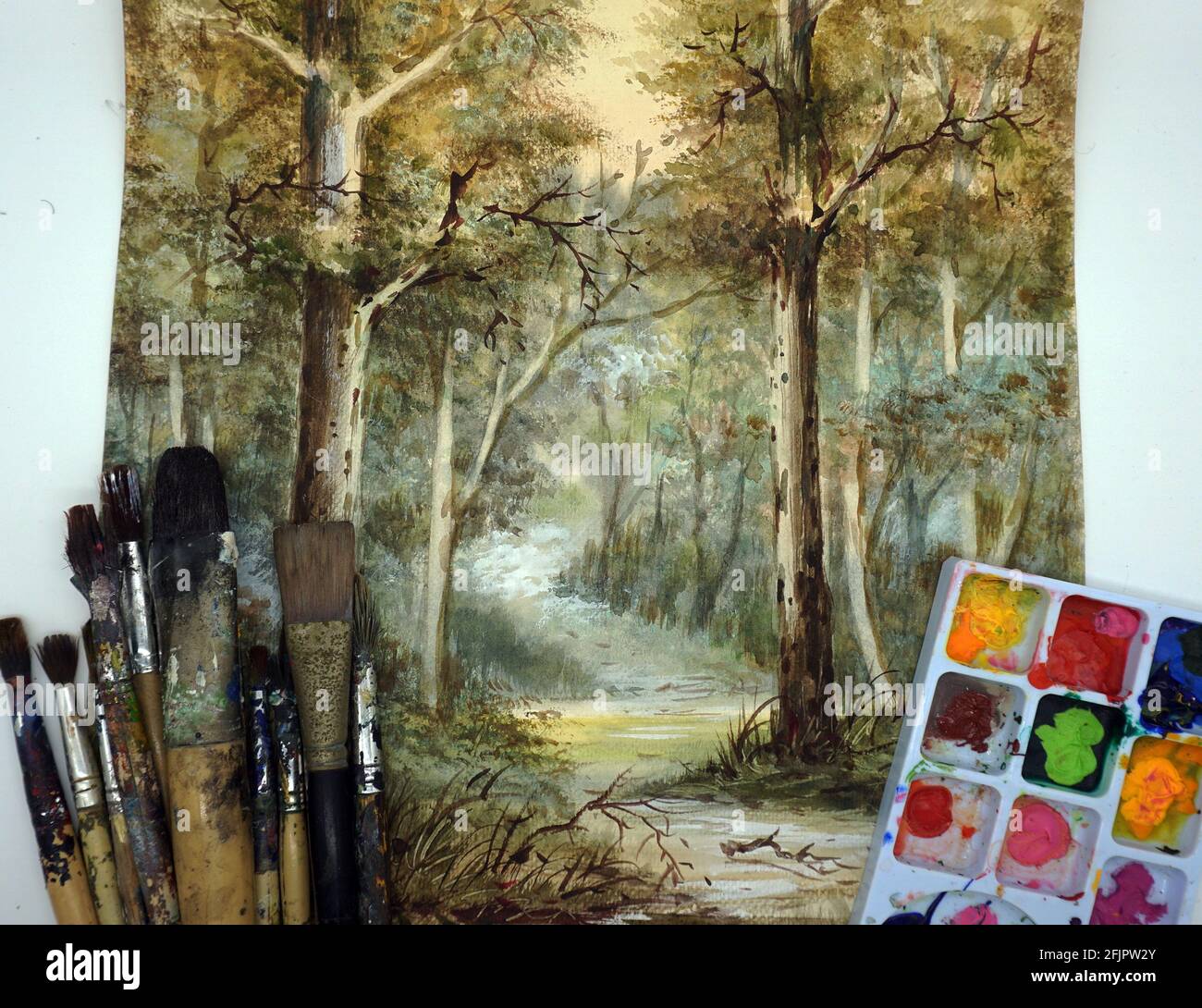 Corso d'arte di pittura ad acquerello foresta Foto Stock