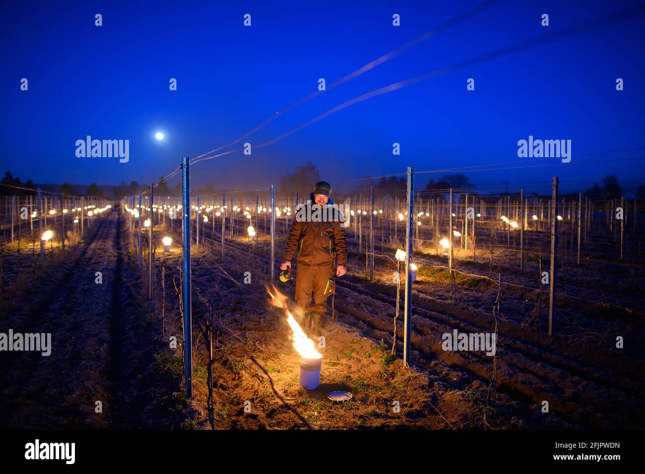 26 aprile 2021, Sassonia, Weinböhla: Fino a Neumeister, responsabile della viticoltura, accende un incendio tra le viti in un vigneto. Su otto vigneti soggetti al gelo e giovani vigneti della tenuta vinicola statale Schloss Waccerbarth, i vitigni vogliono proteggere le vigne dalle gelate tardive con piccoli incendi controllati. Sono da proteggere diverse migliaia di vitigni delle varietà Bacco, Müller-Thurgau e Muscaris. Foto: Robert Michael/dpa-Zentralbild/dpa Foto Stock