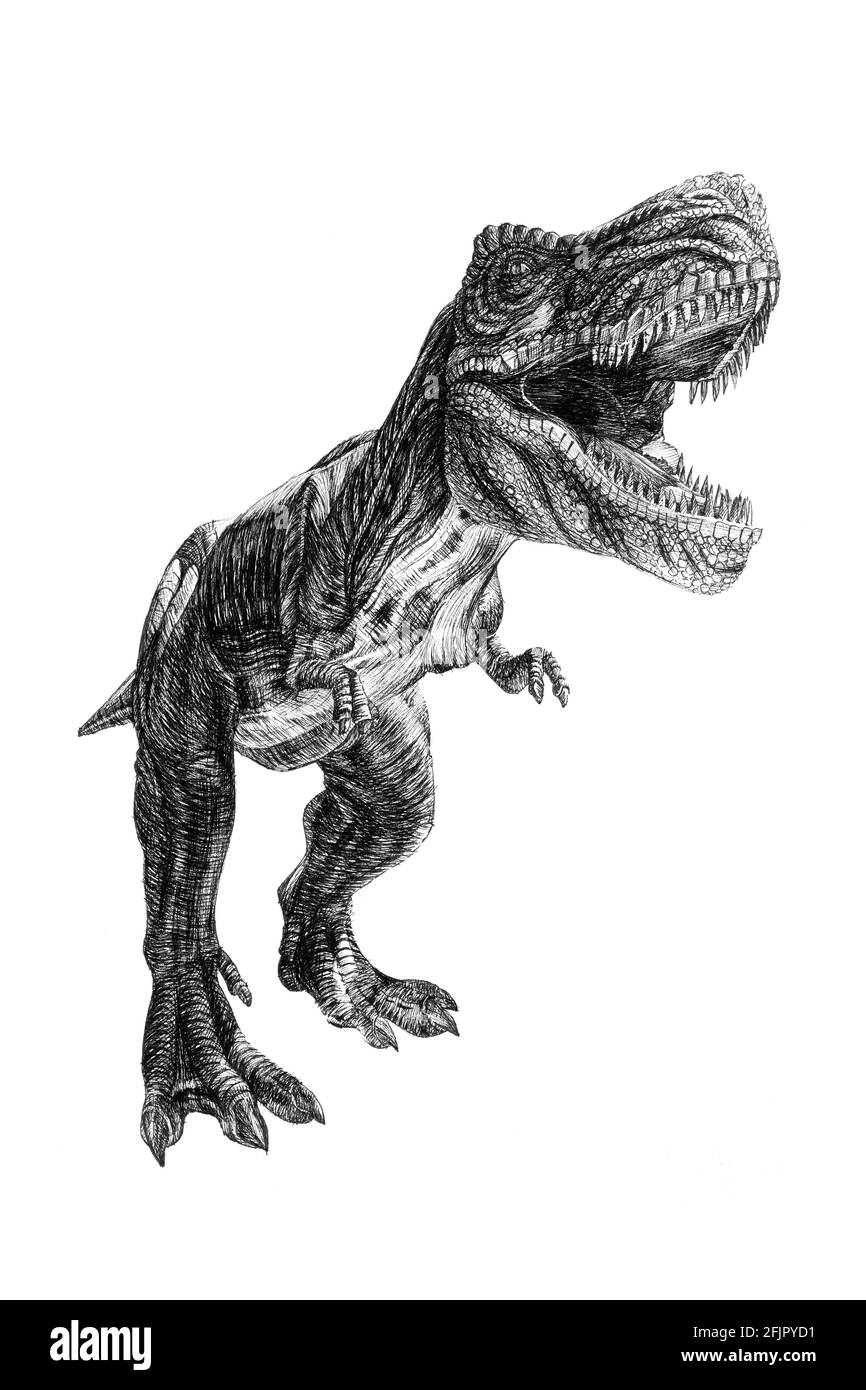 Dinosauro disegnato a mano, grafica di schizzo illustrazione monocromatica su sfondo bianco (originali, nessuna traccia) Foto Stock