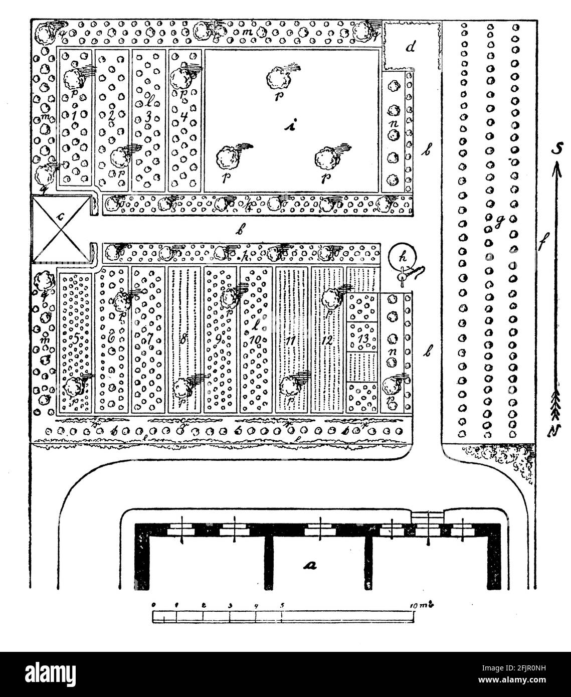 Pianta di un giardino domestico / / (libro di giardino, 1921) Foto Stock