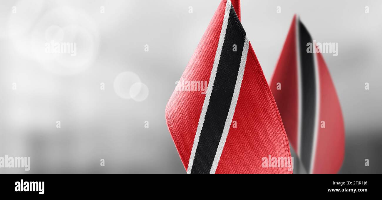 Piccole bandiere nazionali di Trinidad e Tobago su un sfondo sfocato Foto Stock