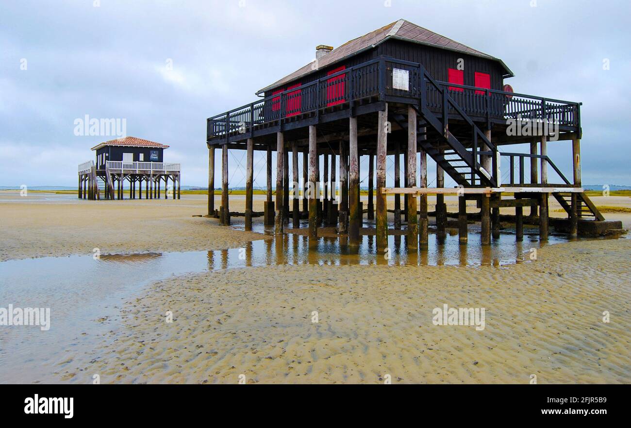 Ile des Oiseaux – Bassin d’Arcachon - Francia capanne in legno poggiate su pilotis tipiche del bacino dell’Arcachon, sulla île des Oiseaux (appartenente al mu Foto Stock