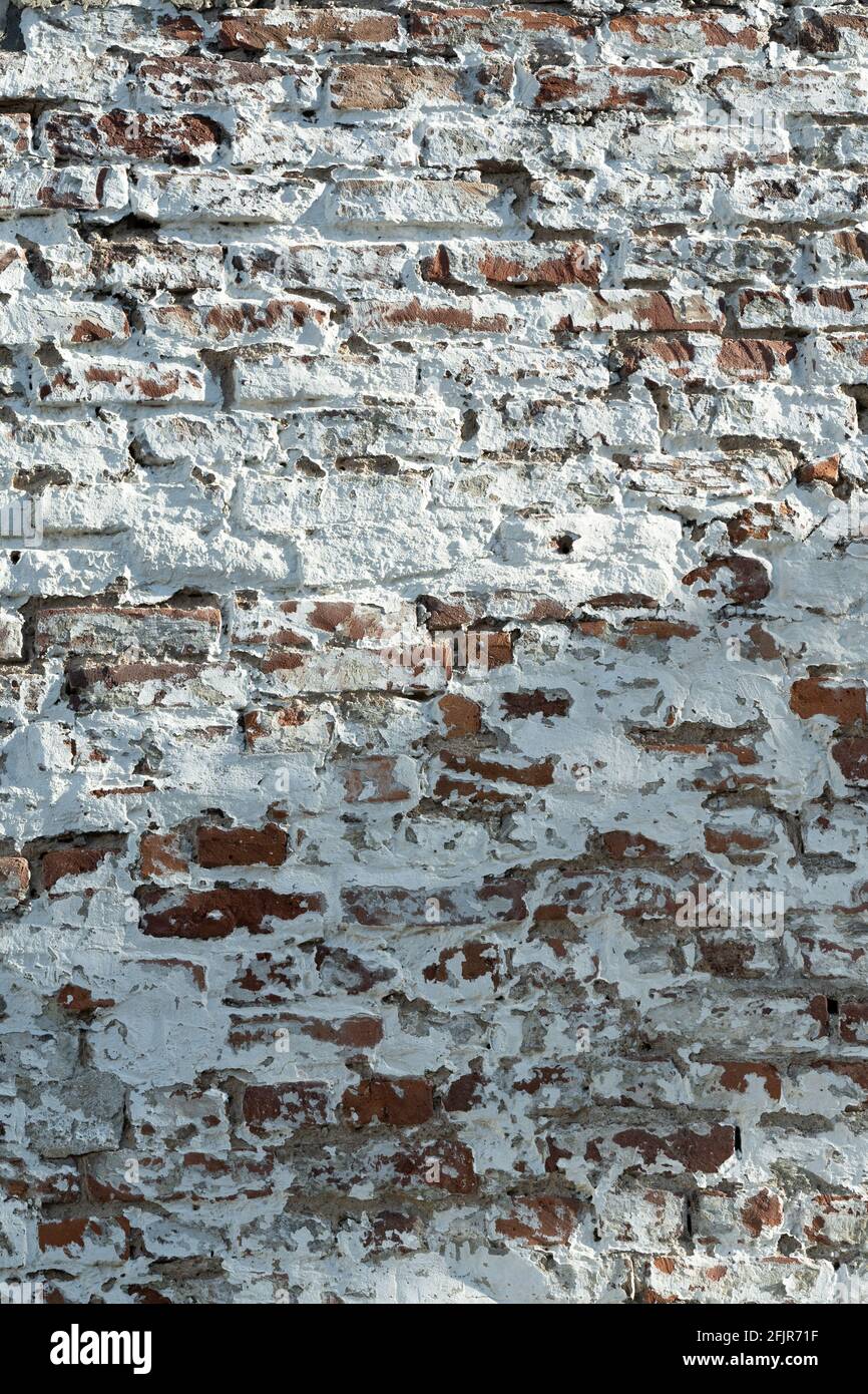 Una parete di mattoni grugnosi imbiancata con i mattoni rossi visibili in luoghi di luce solare con ombra. Foto Stock