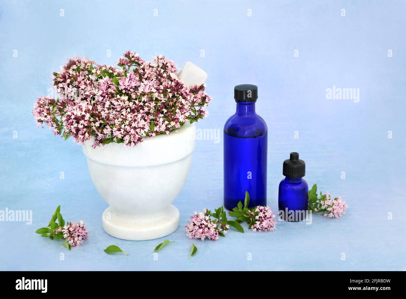 Origano fiori e foglie di erbe in mortaio con pestello con bottiglie d'olio essenziali. Usato in medicina di erbe & condimento di cibo. Può alleviare i sintomi dell'IBS. Foto Stock