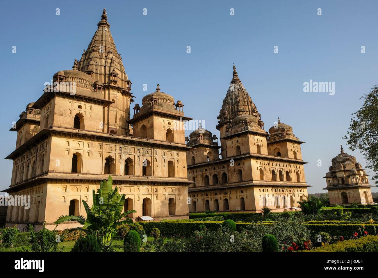 Chhatris, monumenti funerari dedicati ai reali del 16 ° e 17 ° secolo a Orchha, Madhya Pradesh, India. Foto Stock