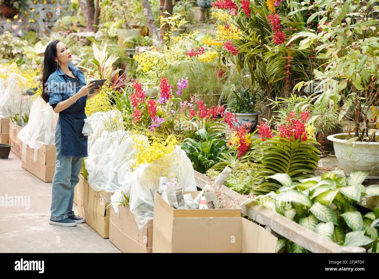 Seria giovane donna vietnamita con tavolo digitale alla ricerca di piante o fiore in serra per inviare l'ordine per il cliente Foto Stock