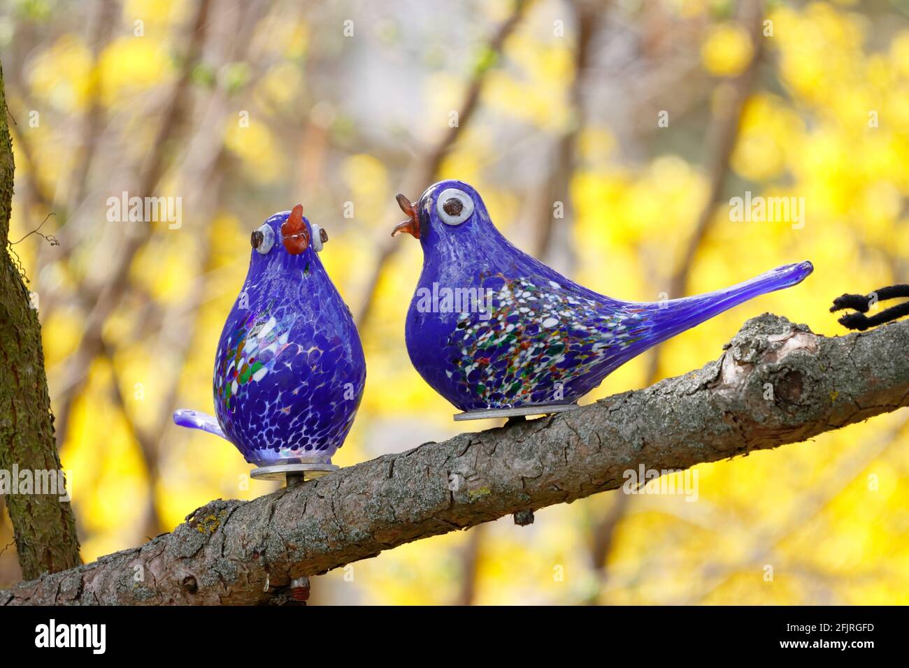 Due uccelli di vetro su un ramo di un pino in primavera Foto Stock