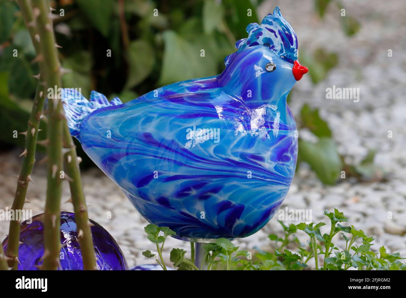 Una gallina di vetro sulla terrazza Foto Stock