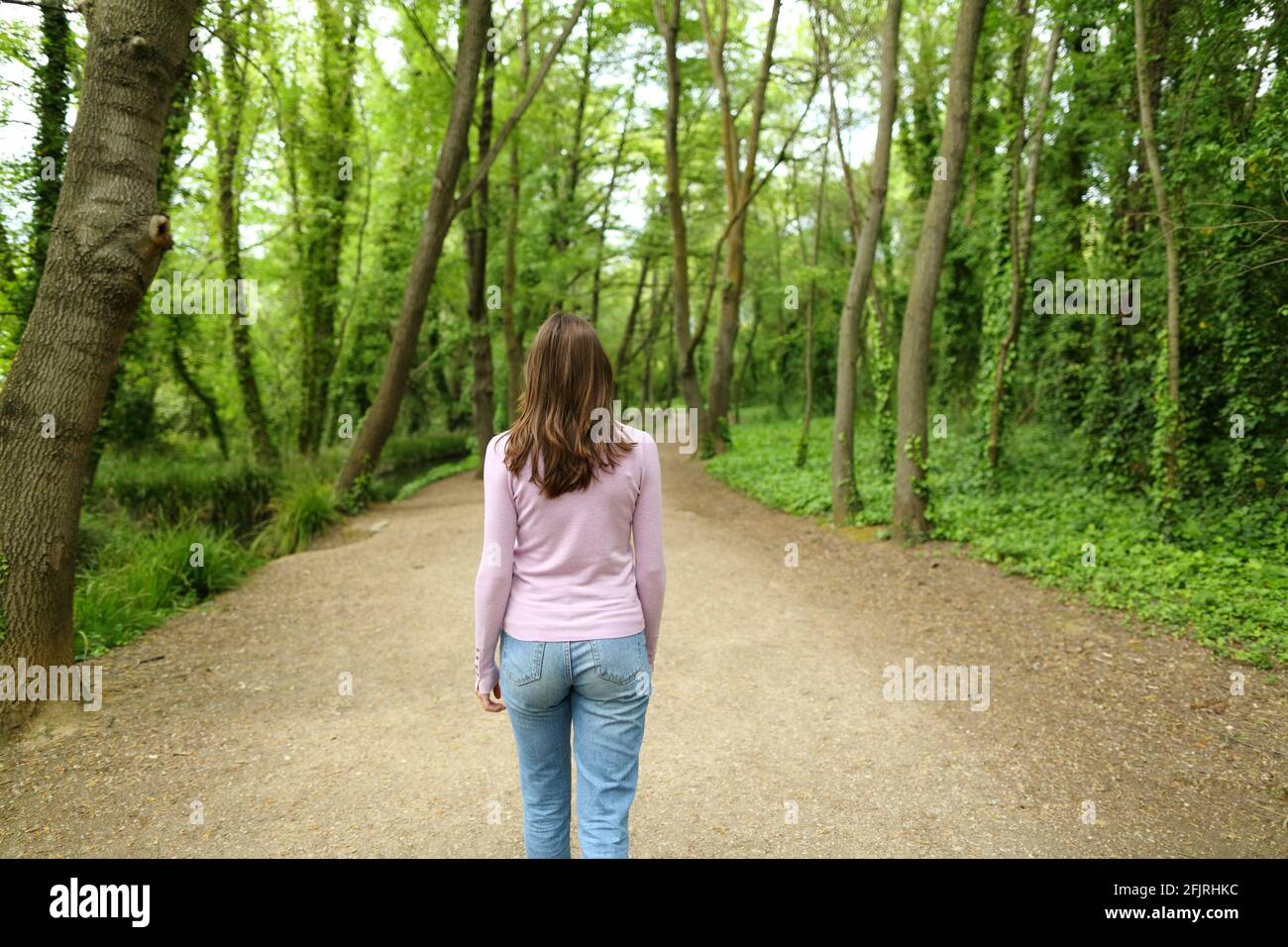 Indietro vista ritratto od una donna casual che cammina in un sentiero forestale Foto Stock