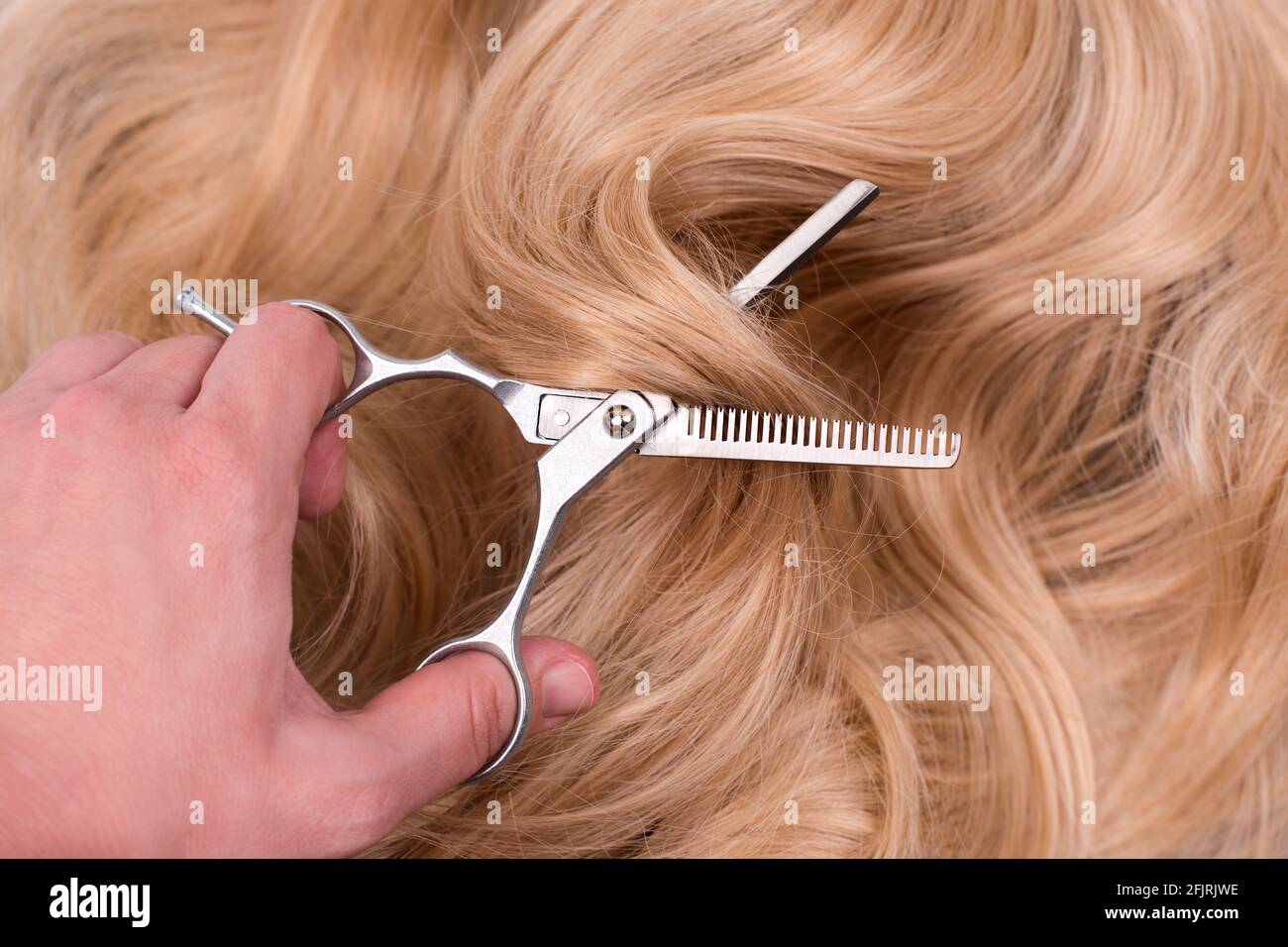 Il parrucchiere taglia i capelli lunghi biondi con le forbici professionali di assottigliamento. Rifinire i capelli biondi ricci tinti in salone, parrucchiere, cura dei capelli e capelli di bellezza Foto Stock
