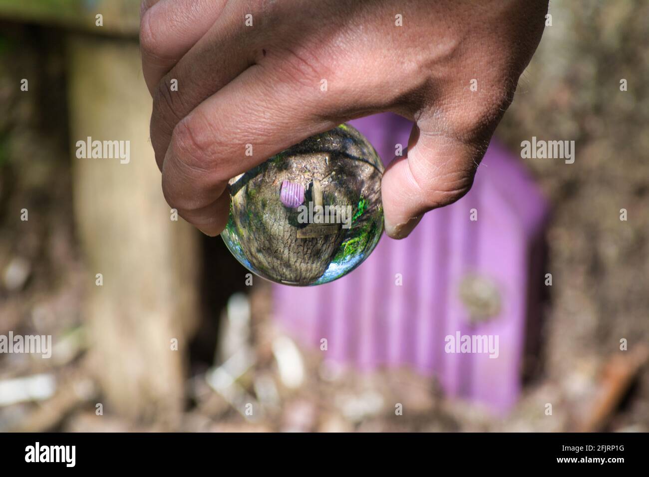Porta rosa fiabesca in una palla di vetro. Foto Stock