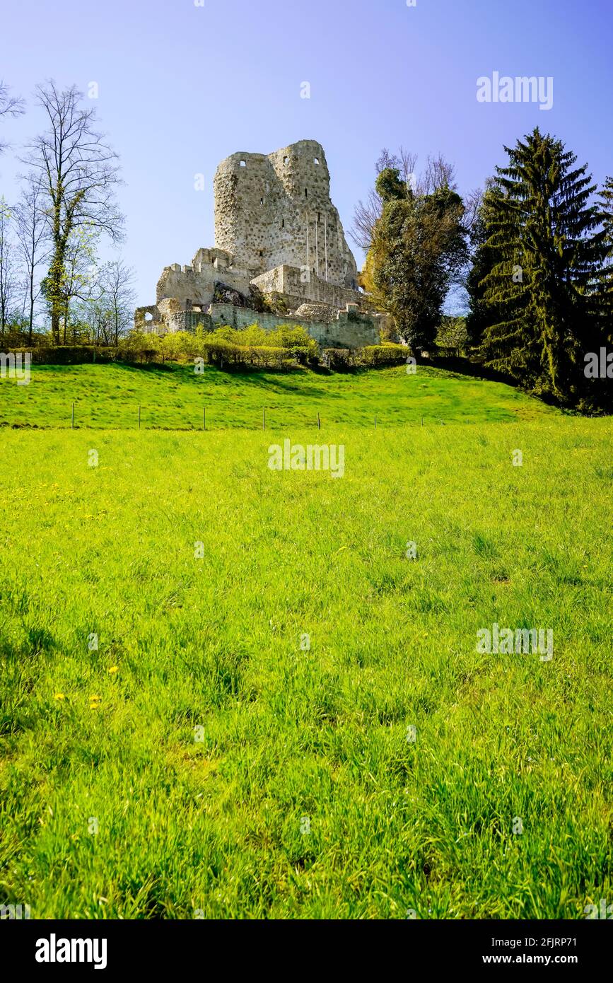 Il castello di Pfeffingen è un castello situato nel comune di Pfeffingen, nel Cantone di Basilea-Campagna, in Svizzera. Patrimonio svizzero di significano nazionale Foto Stock