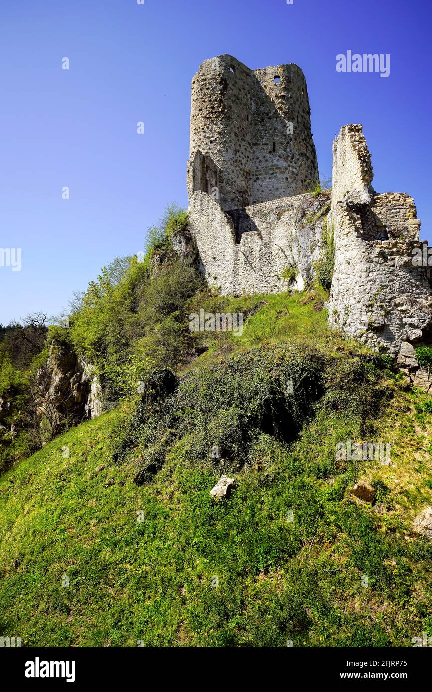 Il castello di Pfeffingen è un castello situato nel comune di Pfeffingen, nel Cantone di Basilea-Campagna, in Svizzera. Patrimonio svizzero di significano nazionale Foto Stock