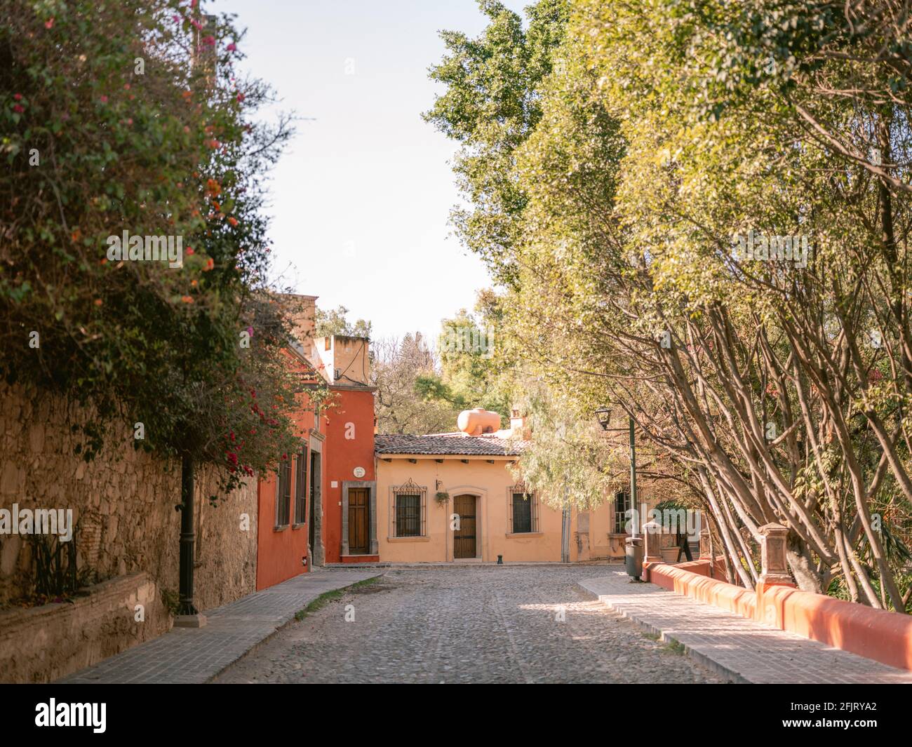 Parque Benito Juárez - Fotografia di viaggio a San Miguel de Allende, Messico Foto Stock