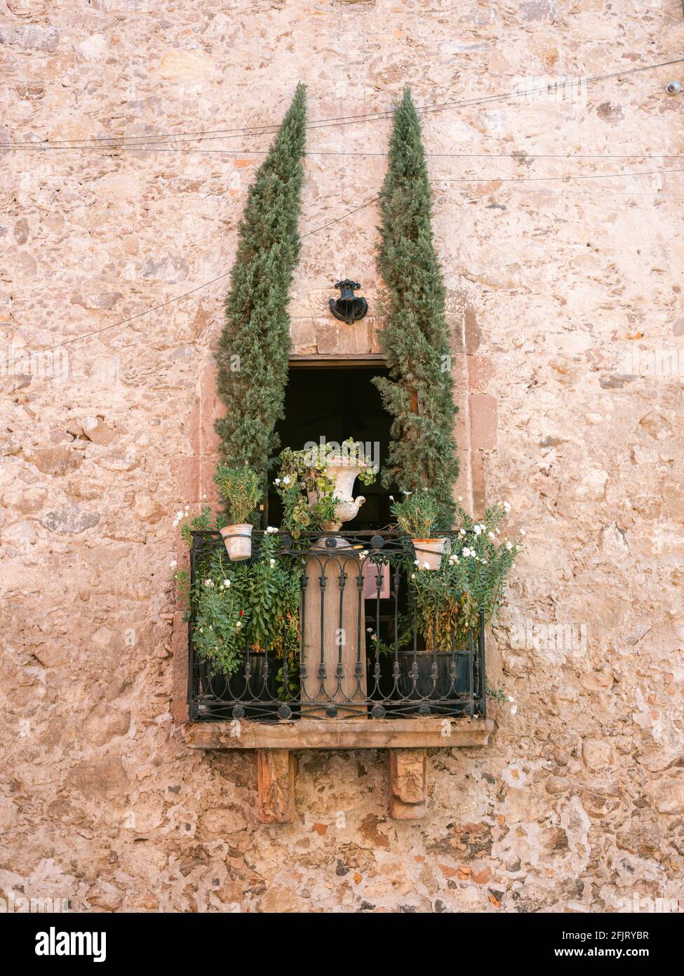 Vetrina Botanica - Fotografia di viaggio a San Miguel de Allende, Messico Foto Stock