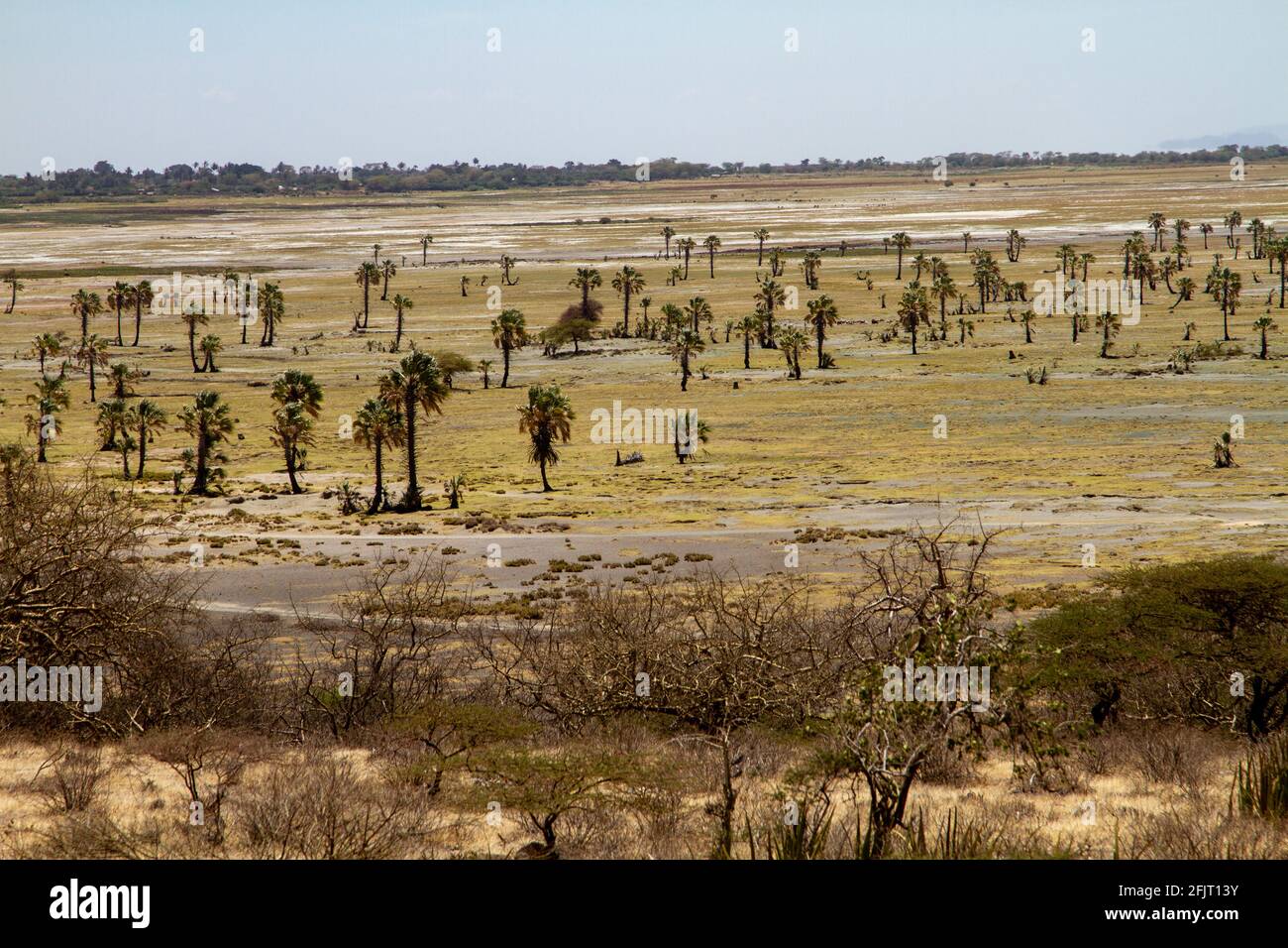 Africa, Tanzania, Parco Nazionale del Lago Eyasi paesaggio a bassa marea Foto Stock