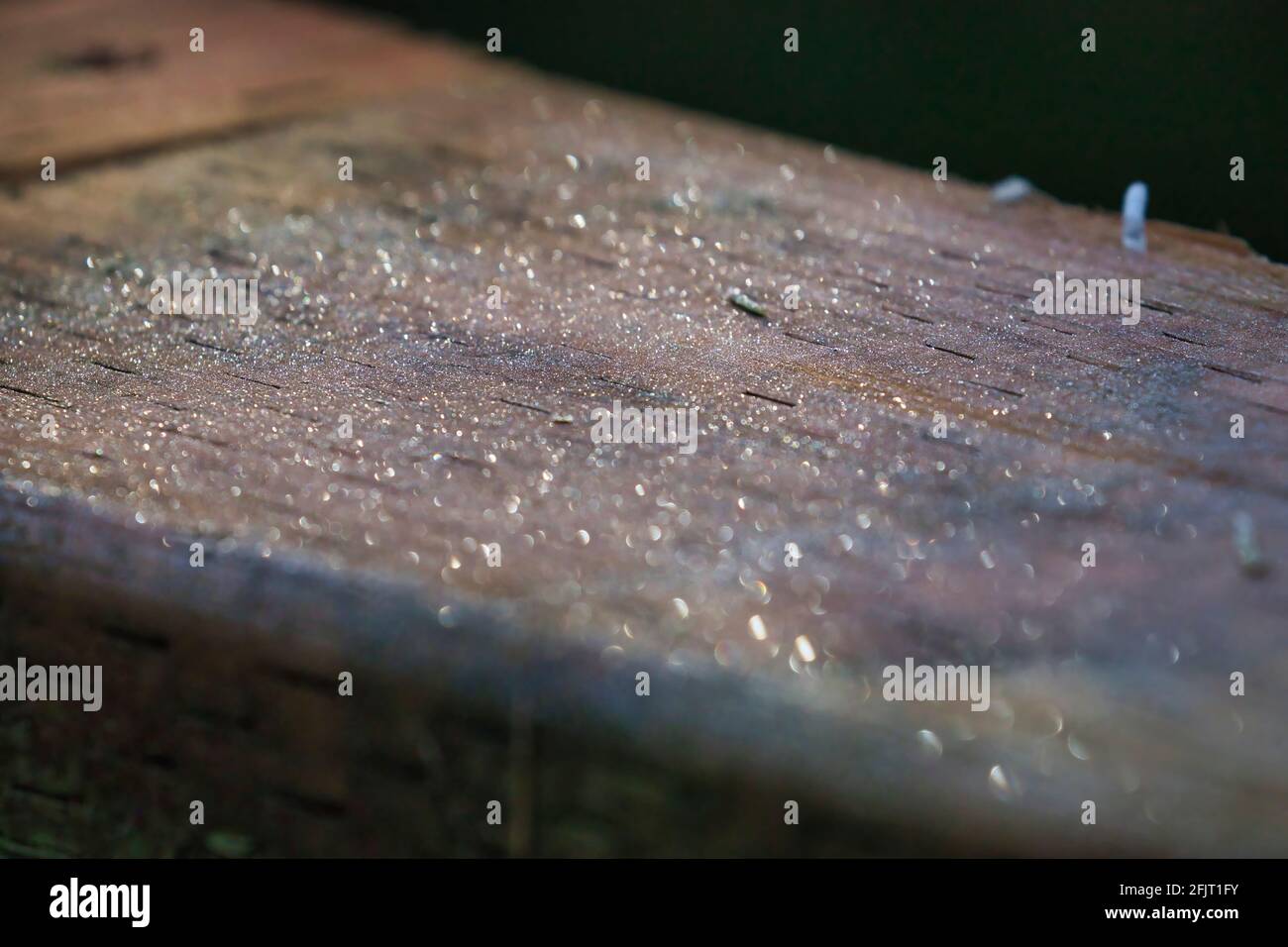 ringhiera in legno trattato con agenti atmosferici ricoperta da gocce di rugiada Foto Stock