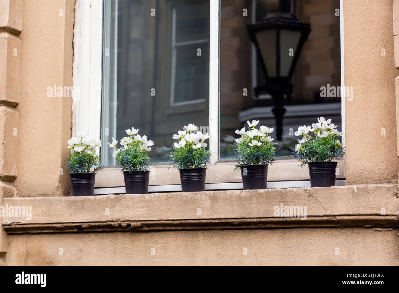 Fiori artificiali in pentole su una finestra esterna Ledge, Regno Unito Foto Stock