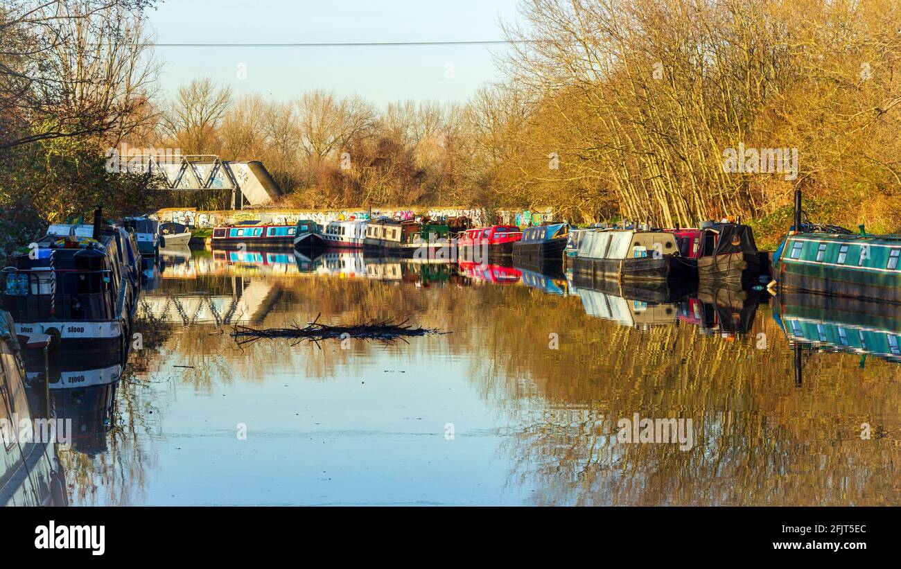 Una vista del fiume Lee a Hackney in gennaio con un mucchio grande di legno galleggiante Foto Stock