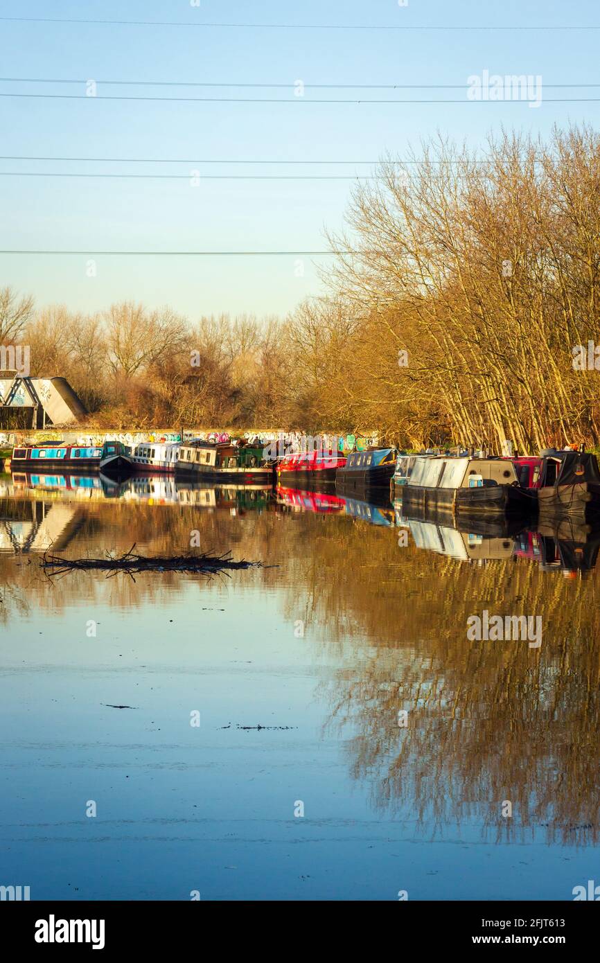 Una vista del fiume Lee a Hackney in gennaio con un mucchio grande di legno galleggiante Foto Stock