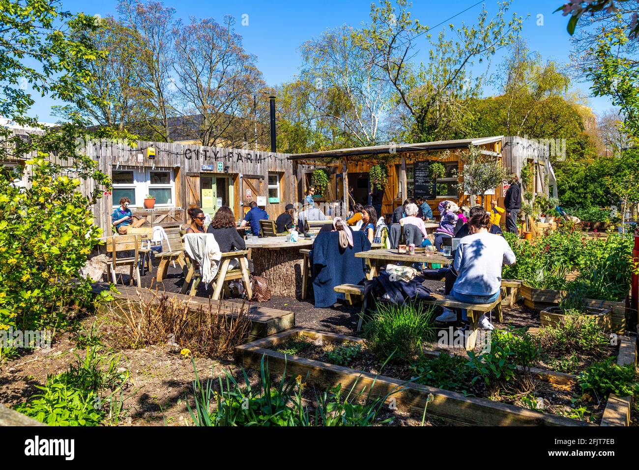 La gente mangia all'aperto al locale cafe Allootment Kitchen presso la Stepney City Farm, East London, UK Foto Stock