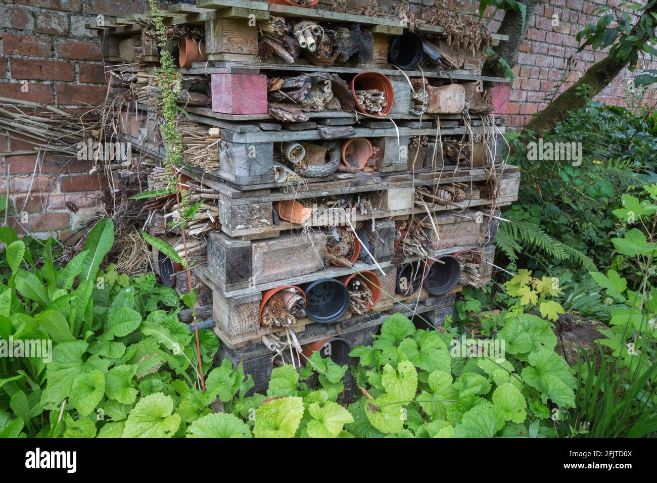 Bug hotel insetto box in giardino murato, Scottish Borders, Regno Unito, Foto Stock