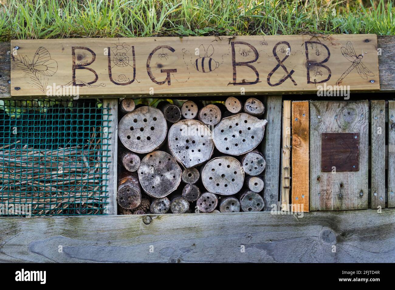 Bug Hotel, Caerlaverock Wildfowl & Wetland Trust Reserve, Dumfries & Galloway, Scozia Foto Stock