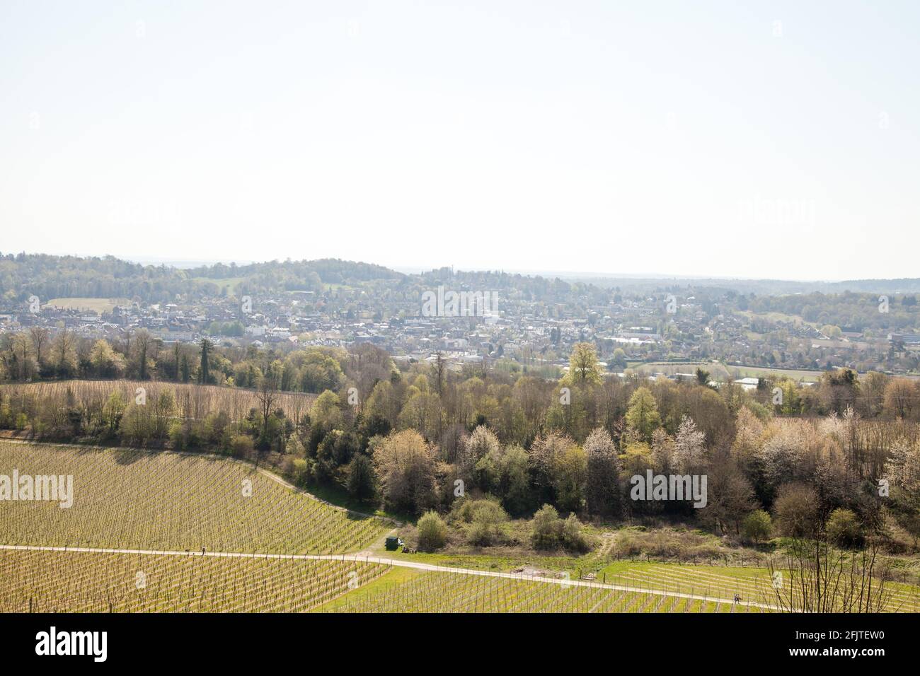 Vista su Dorking dalla tenuta vinicola di Denbies a Surrey Hills, Surrey, Inghilterra, primavera 2021 aprile Foto Stock