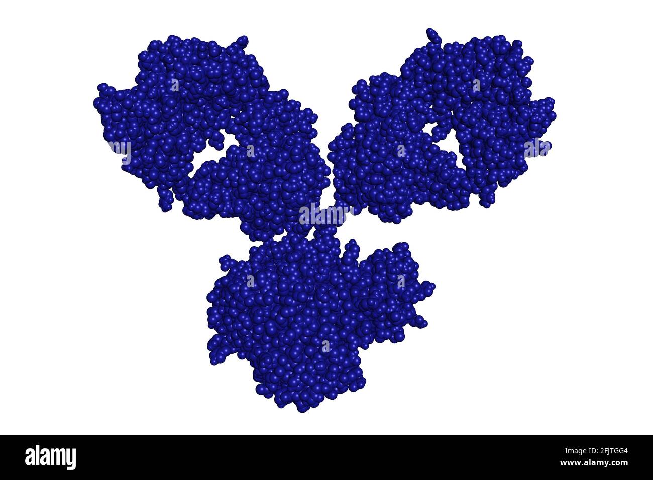 Immunoglobulina IgG1 anticorpo monoclonale molecola di glicoproteina 3D rende la struttura chimica Foto Stock