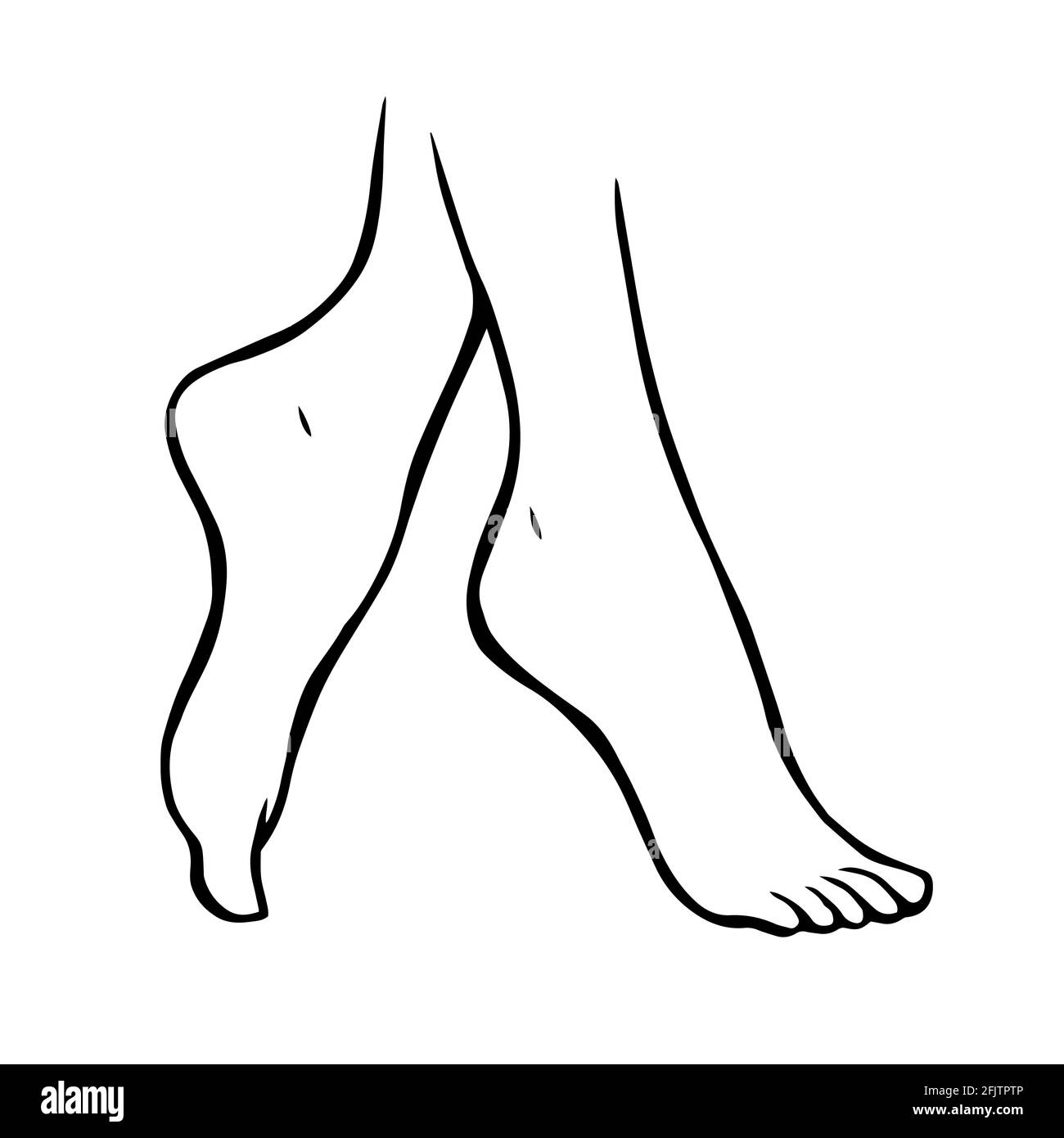 Disegno a linee delle gambe femminili su sfondo bianco. Pedicure, cura del corpo e bellezza. Illustrazione dello schizzo isolato dal vettore Illustrazione Vettoriale