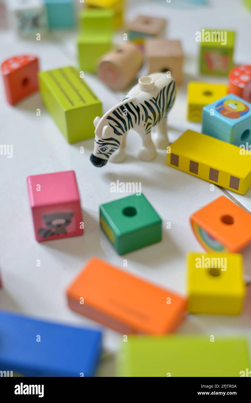 giocattoli zebra con giocattoli a blocchi di legno Foto Stock